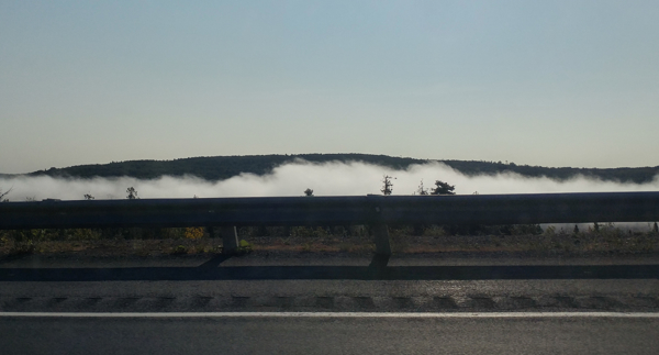 fog on the St. John river