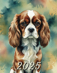 Cavalier King Charles Spaniel