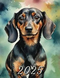 Dachshund