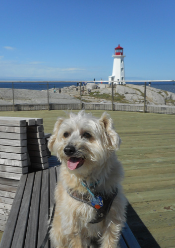 Peggy's Cove Lighthouse