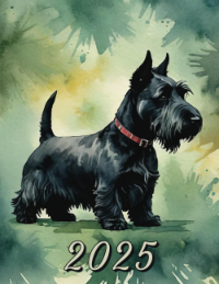 Scottish Terrier 