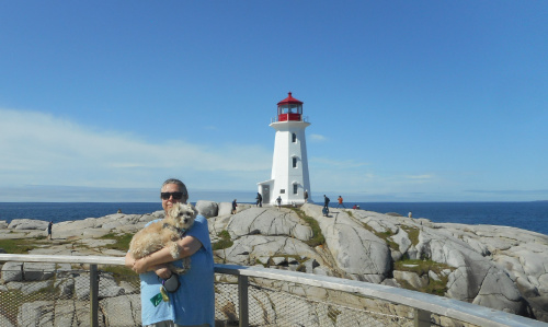 cute dog at Peggy's Cover Nova Scotia