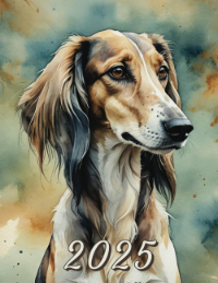 saluki