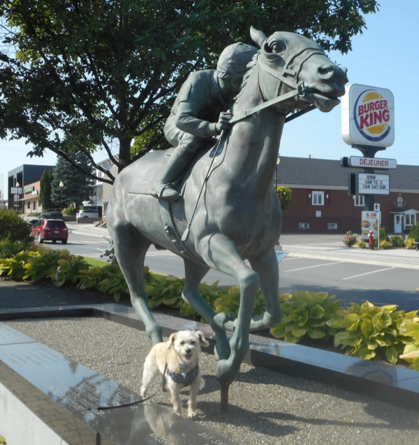 Dog posing beside Secretariat statue on Broadway Boulevard